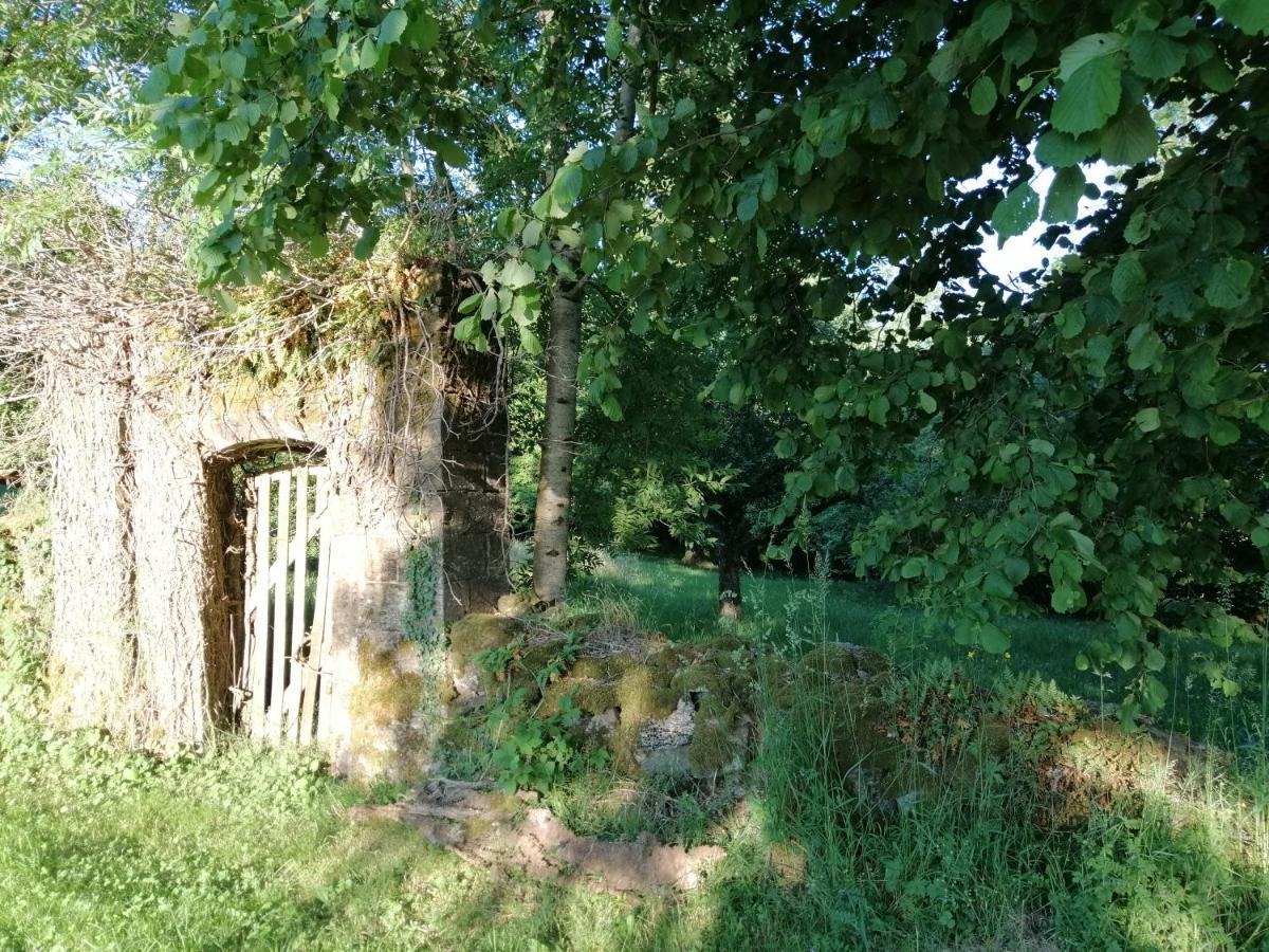 Le Miraillet, Gite Saint-Illide Bagian luar foto